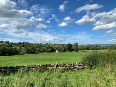 Issız bir ahır, büyük yeşil bir çayırda, kuru taş duvarlar, yabani bitkiler ve yaşlı ağaçlarla, B6160, Newbiggin, Leyburn, İngiltere