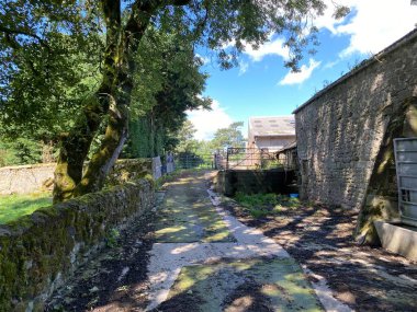 Kırsal bölge şeridi, geçişler, kurumuş taş duvarlar, ağaçlar ve çiftlik binaları, Rylstone, Skipton, İngiltere