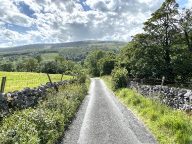 Cray 'e giden Stubbing Lane' e bakın. Kuru taş duvarlar, yabani bitkiler ve ağaçlar var. Buckden, Skipton, İngiltere.