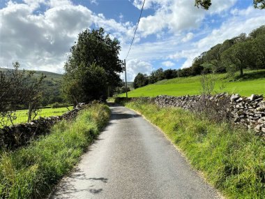 Hubberholme 'dan Cray' e giden yol, kuru taş duvarlar, tarlalar ve ağaçlarla, Hubberholme, Skipton, İngiltere