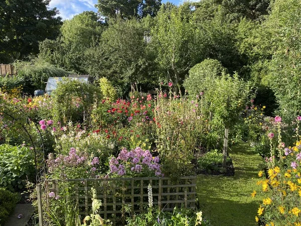 Jardin Champêtre Avec Fleurs Buissons Dans Village Wensley Leyburn Royaume — Photo
