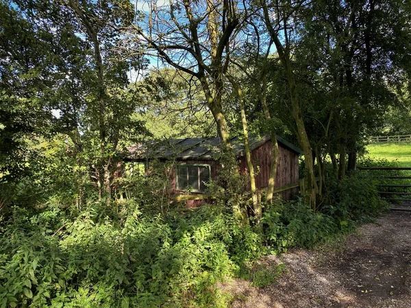 Brown Wooden Hut Partially Hidden Trees Next Farm Gate Burton — Stockfoto