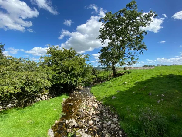 Stream Flowing Fields Old Trees Dry Stone Walls Grysedale Lane — Stock Photo, Image