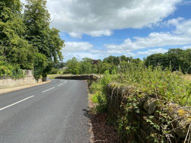 Skipton Eski Yolu 'na bakın. Kuru bir taş duvar, Laneshaw, Colne, İngiltere yakınlarında yabani bitkiler ve ağaçlar var.