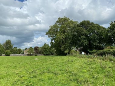 Büyük bir çayır, yaşlı ağaçlar, koyunlar ve bir ev, bulutlu bir günde, Silsden, Keighley, İngiltere