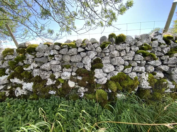 Muro Pietra Secco Con Muschio Verde Marrone Lunga Erba Selvatica — Foto Stock