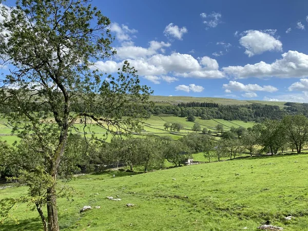 Countryside Old Trees Fields Meadows Hills Sunny Day Kettlewell Skipton — Foto Stock