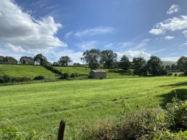 Manzara, boş taştan bir ahıra bakıyor, tepeler ve ağaçlar ötesinde, West Burton, Leyburn, İngiltere