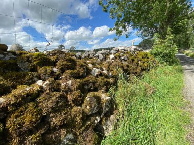 Skipton, Yorkshire, İngiltere yakınlarında eski bir yosun kaplı kuru taş duvar.