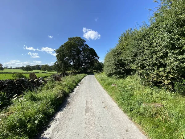 Vidéki Fűszegélyekkel Vadon Termő Növényekkel Mezőkkel Fákkal Távolban Hetton Skipton — Stock Fotó