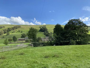 Bishopdale 'de kırsal manzara, yeşil tarlalar, ağaçlar, çiftlikler ve tepeler, güneşli bir günde, West Burton, Leyburn, İngiltere