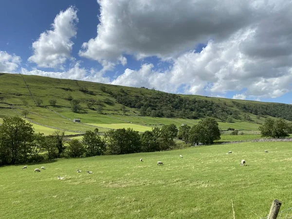 Landscape View Looking Fields Meadows Hills Sunny Day Kettlewell Skipton — Stock Photo, Image