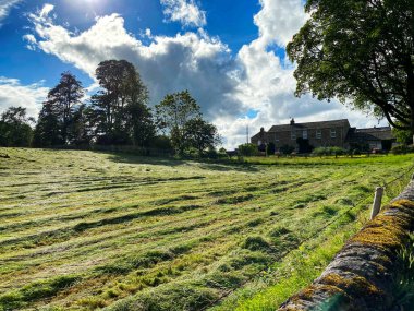 Yakın zamanda biçilmiş saman tarlası, yosun kaplı taş bir duvar, çiftlik binaları ve Gargrave, Skipton, İngiltere yakınlarındaki eski ağaçlar.