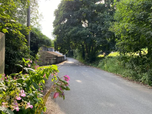 Country Lane Flowers Roadside Cottage Distance Tong Bradford — Stock Photo, Image