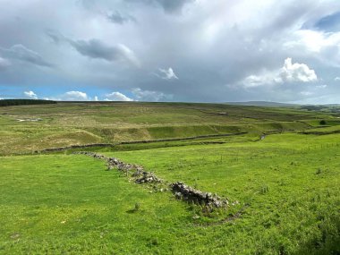 Manzara manzarası, tarlalar ve vadiler, kuru bir taş duvarın kalıntıları, ve ufukta yağmur bulutları, Laneshaw Köprüsü, Colne, İngiltere