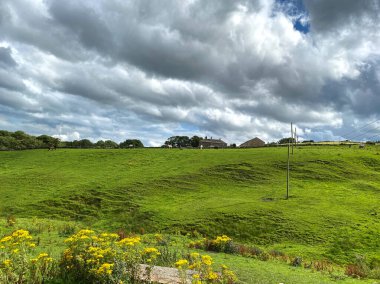 İngiltere 'nin Bradford, Yorkshire yakınlarındaki yabani bitkiler, çiftlik hayvanları ve çiftlik binaları ile geniş, düzensiz bir çayırın üzerindeki manzara.