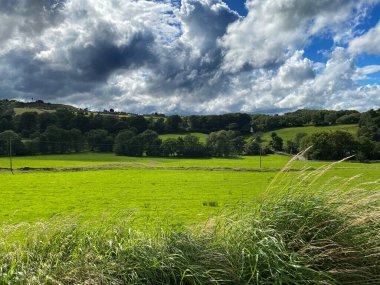 Şiddetli yağmur bulutları, çayırların ve yaşlı ağaçların üzerinden Denholme, Bradford, İngiltere yakınlarında uzun otlar.