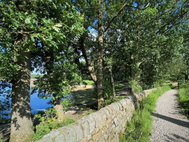 Kuru bir taş duvar, eski ağaçlar, ve bir tarafta Fewston rezervuarı, ve diğer tarafta bir patika, Fewston, Harrogate, İngiltere
