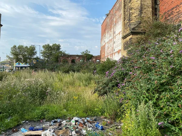 Waste Ground Wild Plants Grasses Rubbish Old Red Bricked Arched — стокове фото