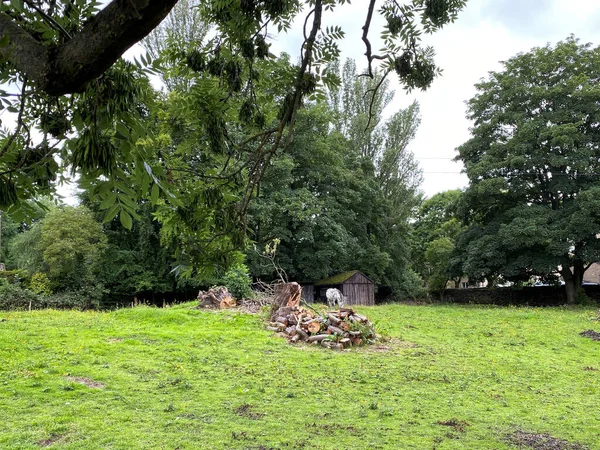 遠くの角に馬と木の小屋 エショルト ブラッドフォード — ストック写真