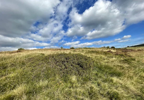 Moorland Landskap Höst Nära Oxenhope Keighley Storbritannien — Stockfoto