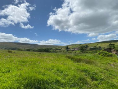 Yüksek tepelerde, Wycoller 'ın yukarısında, çimler, yabani bitkiler, çiftlik binaları ve yakınında uzak kırlar, Wycoller, Colne, İngiltere