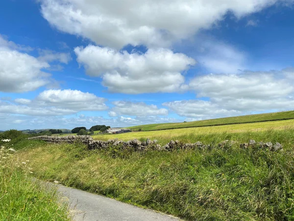 Country lane, with wild grasses, dry stone walls and fields and farm buildings in the distance near, Trawden, Colne, UK