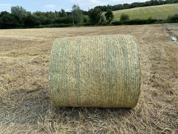 Circular Bale Fresh Hay Resting Corn Field Trees Horizon Alwoodley — Stock Photo, Image