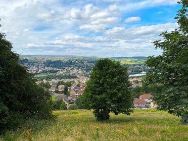 Field, with long grasses and trees, overlooking houses in, Shipley, Bradford, UK