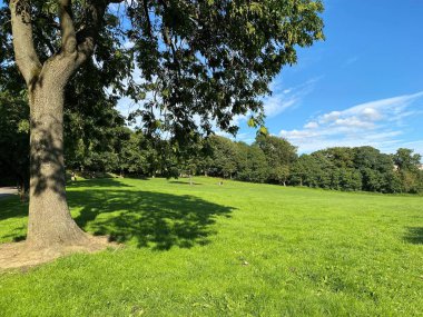 Landscape view, of an extensive meadow, with trees in the distance, in a public park, in the north of, Bradford, Yorkshire, UK