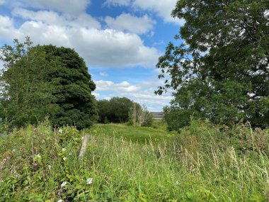 A stone barn, partially hidden between the trees, with long grasses, and wild plants, in the foreground near, Elland, UK