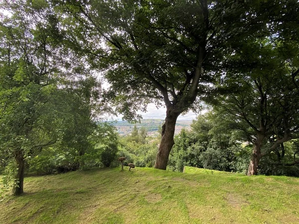 ビュー 古い木の間を見下ろします 距離の家と ブラッドフォード ヨークシャー — ストック写真