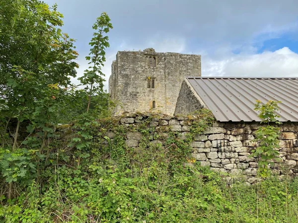 Glimpse Dry Stone Wall Ruin Barden Towers Tree Wild Plants — Stockfoto