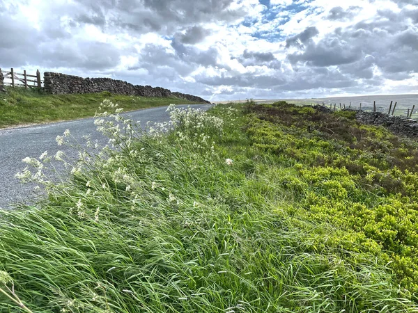 Windswept moor road, with dry stone walls, wild plants and cloudy weather near, Oxenhope, Keighley, UK