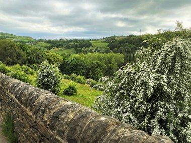 Looking down Shibden Valley from over a stone wall, toward Halifax, with old trees and bushes on the hillside, on a cloudy day in, Shibden Valley, Halifax, UK