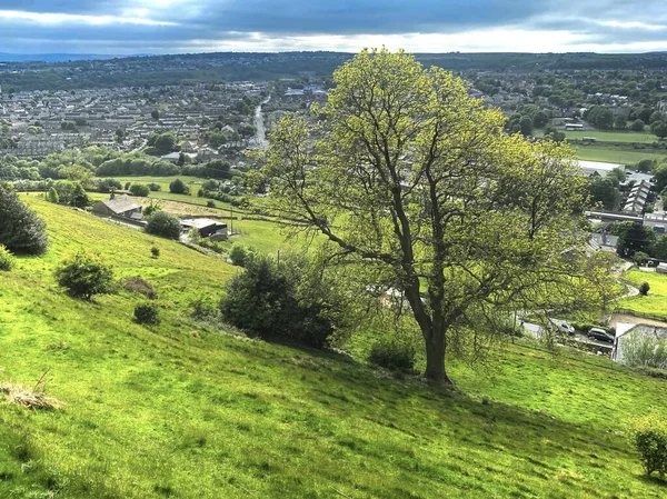 Landscape view, looking down over Halifax, with trees, bushes, houses and buildings, on a cloudy day in Halifax, UK