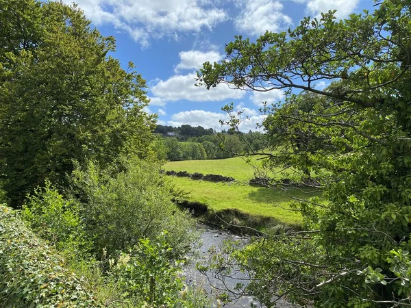 View Trees Stream Green Fields Meadows Distance Trawden Colne — Stock Photo, Image