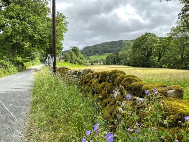 A sideways view over a moss covered wall, with flowers, meadow, and trees, near, Bolton Abbey, Skipton, UK