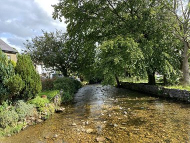 Malham Beck, with trees and shrubbery on its banks, as it runs through, Malham, Skipton, UK 