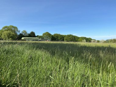 Large field, with long grass, and farm buildings in the distance, by the trees near, Bradford, Yorkshire, UK