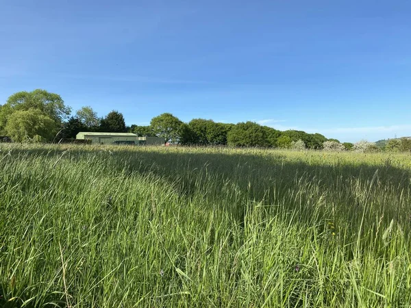 Large Field Long Grass Farm Buildings Distance Trees Bradford Yorkshire — Stock Fotó