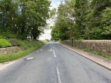 Main road, from Otley to Lindley, with dry stone walls, and old trees.