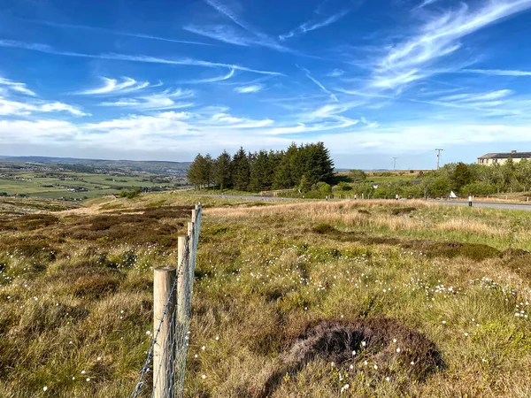 Landscape Moors Haworth Wild Plants Trees Road Wooden Fencing Haworth — Foto Stock