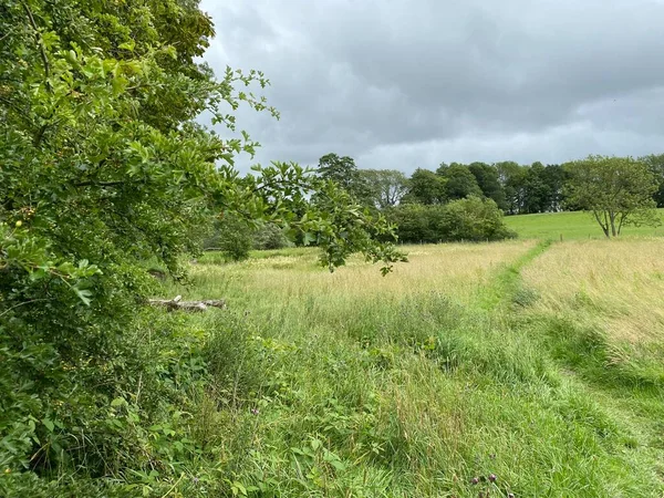 Farmland Menston Trees Long Grass Heavy Rain Clouds — стоковое фото