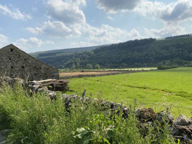 Wild plants next to a dry stone wall, near a farm building, with wood stacked by the side, green fields and meadows in the distance in, Buckden, Skipton, UK