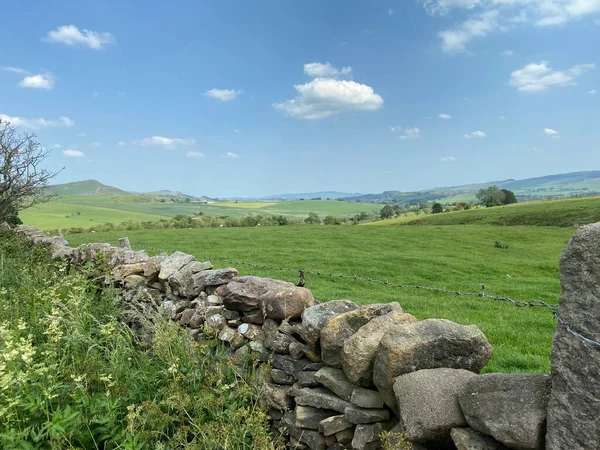 Landscape View Looking Grassington Dry Stone Wall Green Meadows Plants — Stock fotografie