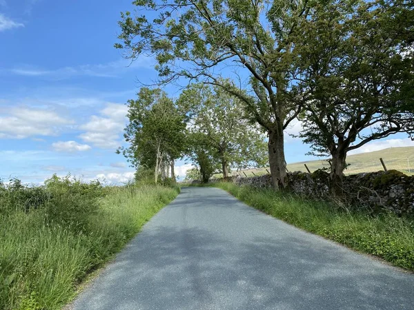 Country Road Long Grasses Old Trees Skipton Yorkshire — Foto Stock