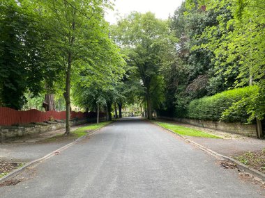 Ashburnham Grove, a Victorian road with old trees and fencing in, Manningham,  Bradford, Yorkshire, UK