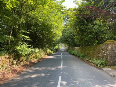 A country road, with moss covered walls, and old trees near, Bradley, Skipton, Yorkshire