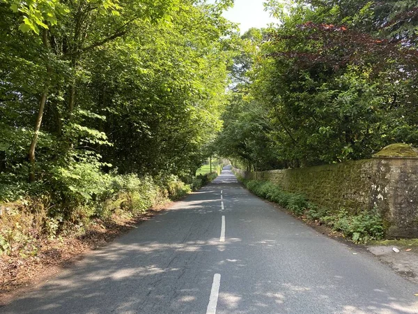 Country Road Moss Covered Walls Old Trees Bradley Skipton Yorkshire — стокове фото